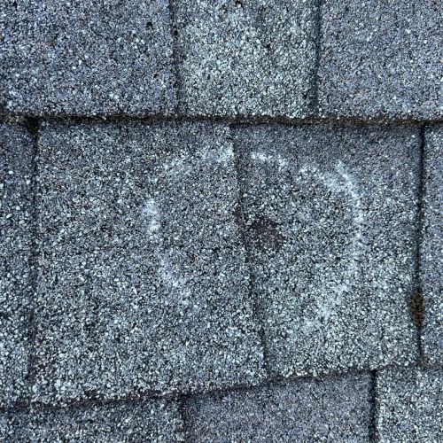 Roof close-up showing wear detail